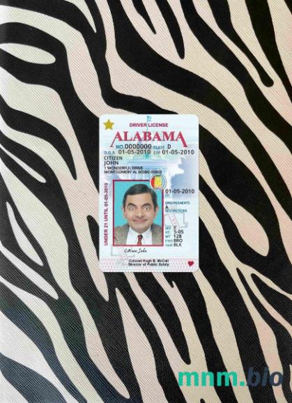 USA Alabama prawo jazdy poniżej 21 lat photolook, w pełni edytowalny